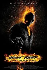 Download Ghost Rider Spirit of Vengeance (2011) Dual Audio {Hindi-English}