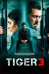 Download Tiger 3 (2023) Hindi AMZN WEB-DL